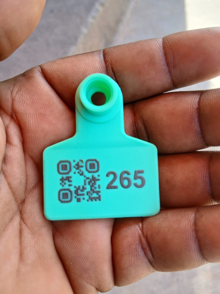 QR-coded ear tag for pig traceability at Kihera Farms