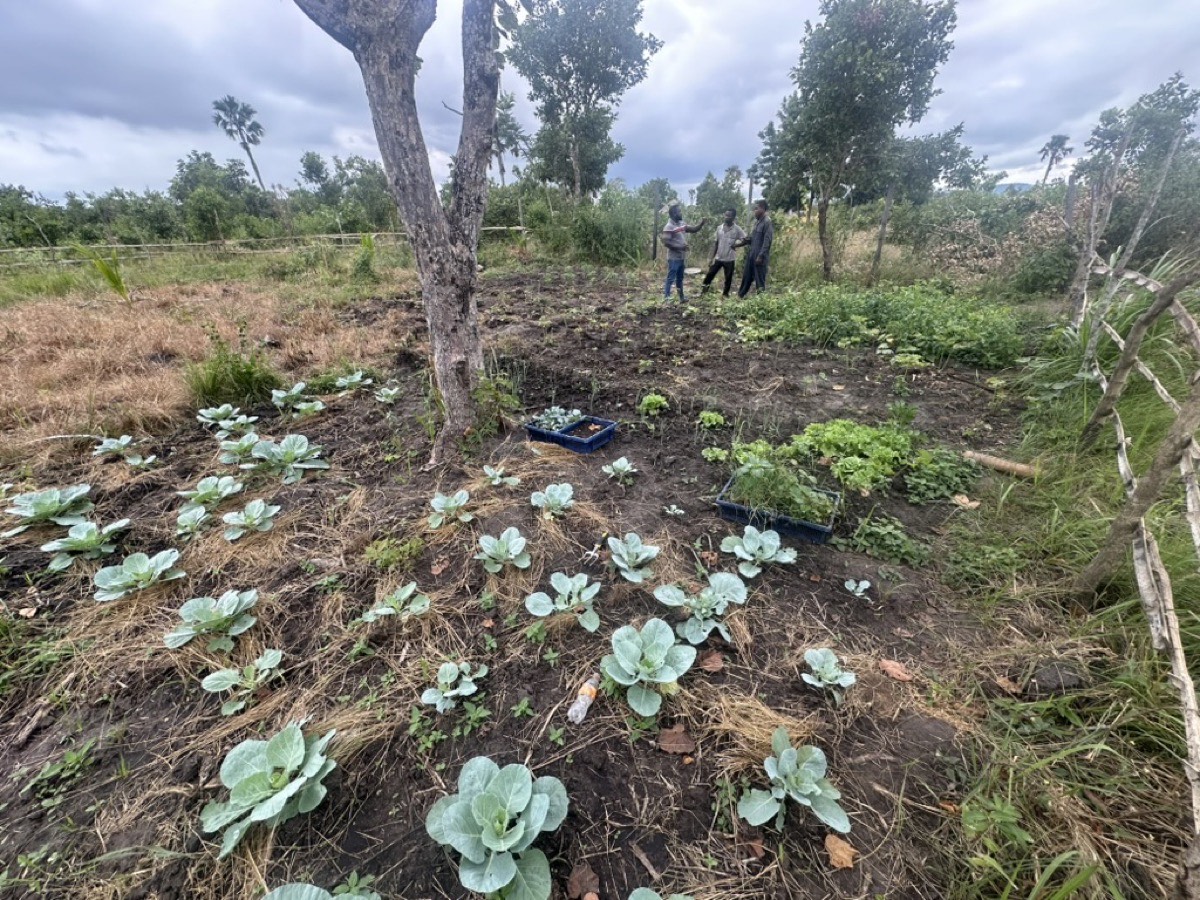 Farm grounds and vegetable garden
